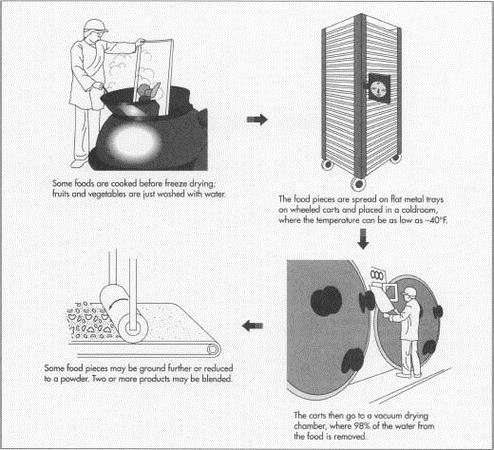 The Process of Freeze Drying Under Vacuum
